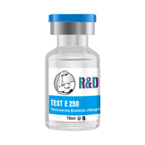 test e 250 blue scaled 1.jpg
